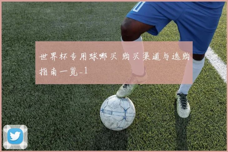 世界杯专用球哪买 购买渠道与选购指南一览_1