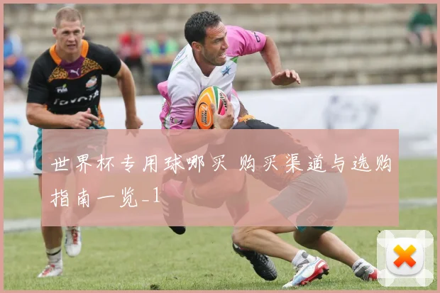 世界杯专用球哪买 购买渠道与选购指南一览_1